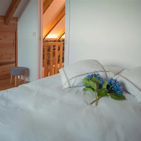 木屋 Palheiros Do Serrado By Real Vision *